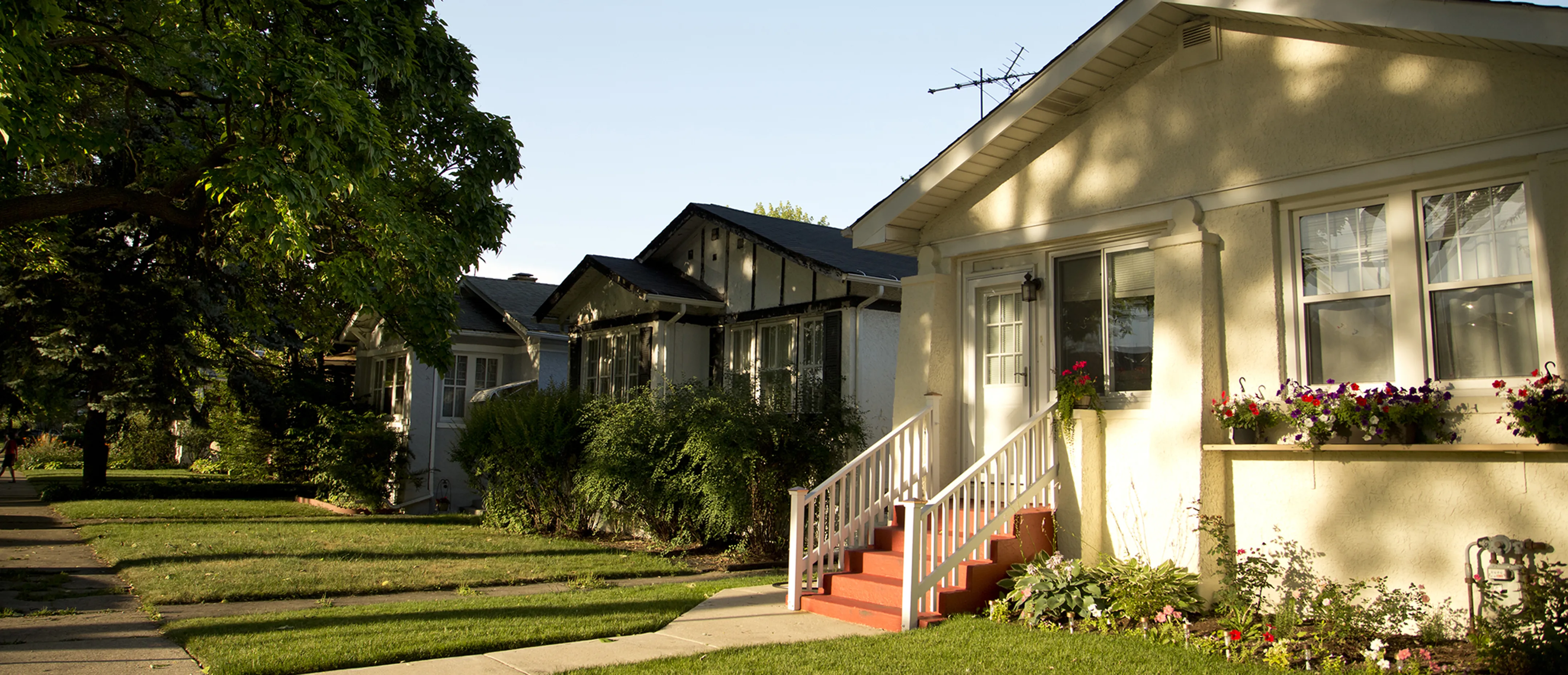 History in Back of the Yards - Chicago | Domu